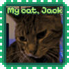 My cat, Jack.