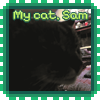 My cat, Sam.
